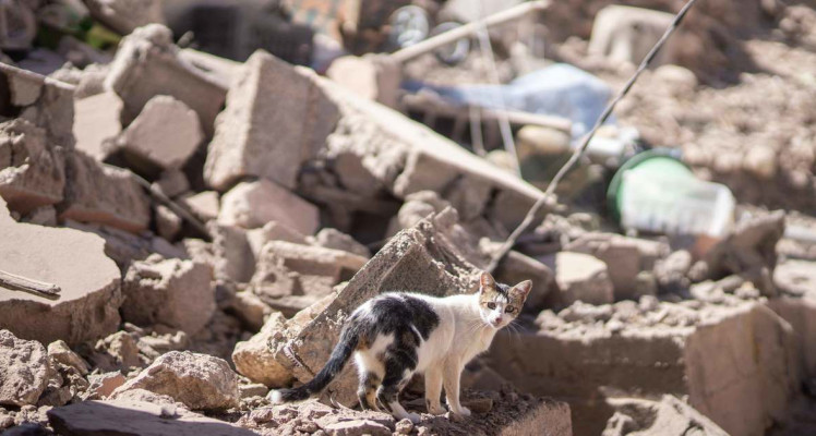 Gratis Lesmateriaal over de Aardbeving in Marokko van Karim Amghar